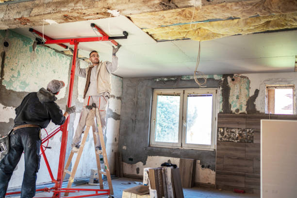 Best Insulation Installation Services in Seaford, DE